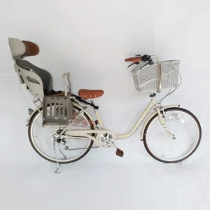 Parent child bicycle